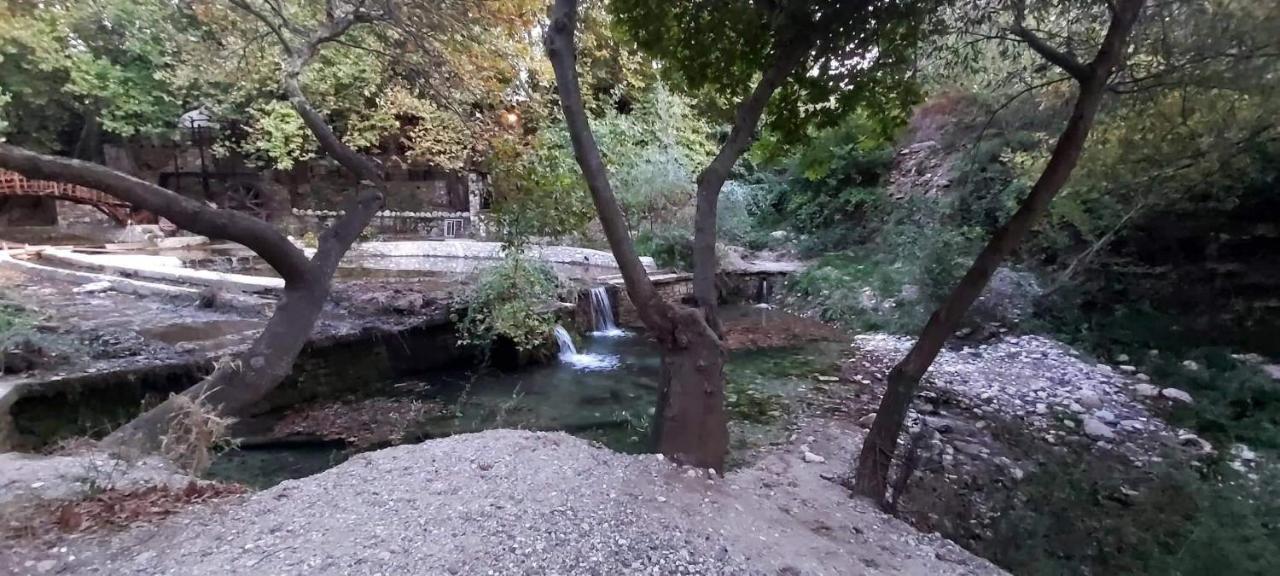 Maria Tsomou Villa Theologos  Екстериор снимка